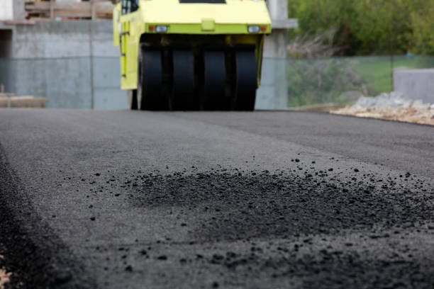 Best Local Driveway Pavers  in Oakland, IA